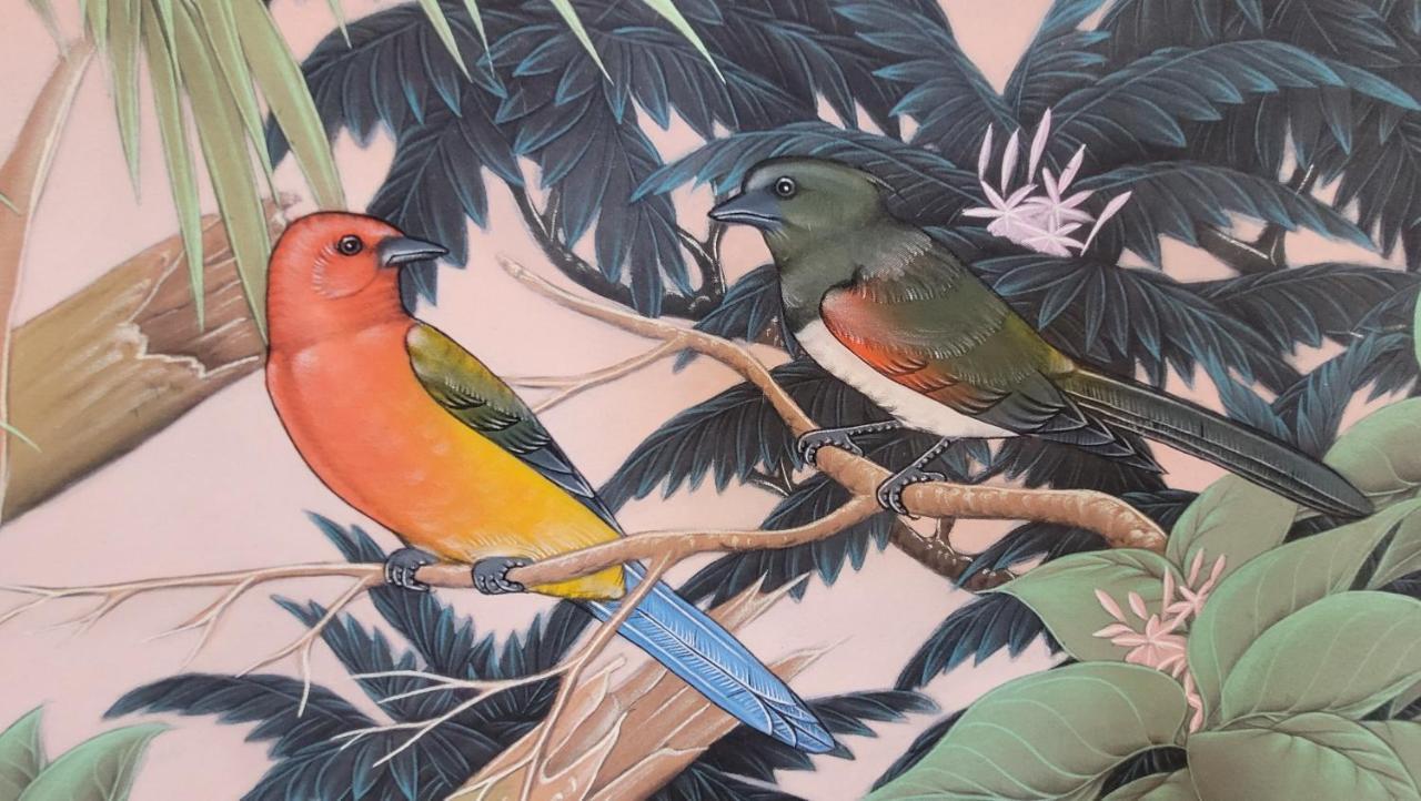 Fauna Montevideo Dış mekan fotoğraf